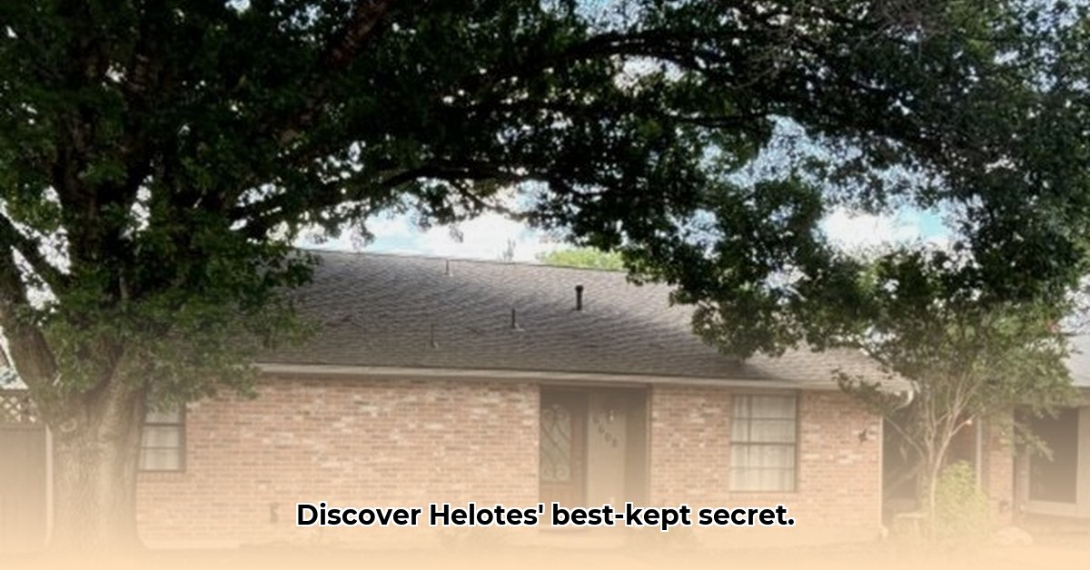 honey-house-helotes-tx